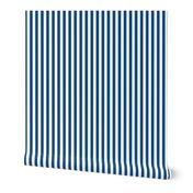 Classic Blue and White 1/2  inch Thin Vertical Picnic Stripes