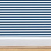 Classic Blue and White  1/2  inch thin Horizontal Picnic Stripes