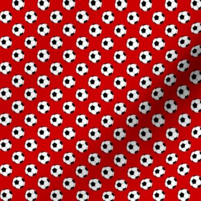 Half Inch Black and White Soccer Balls on Boston Red