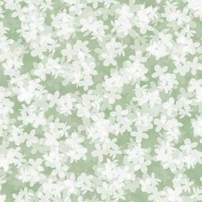 White Hydrangeas on Sage Green