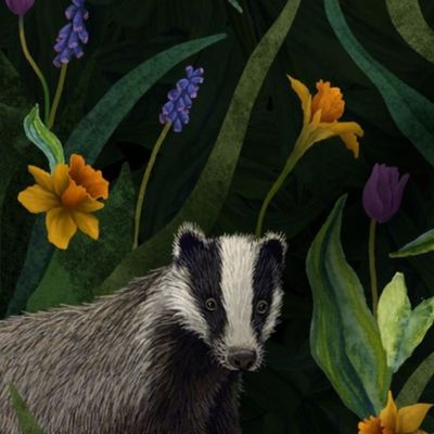 Spring Badgers