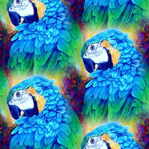 PARROT HEAD 3 STAGGERED MULTICOLOR ORIGINAL BLUE SUMMER TROPICAL PSMGE
