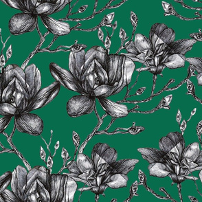 Graphic Magnolia 