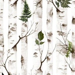 Birch Tree Wallpaper Fabric, Wallpaper and Home Decor | Spoonflower