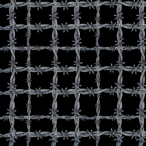 Barbed Wire Plaid