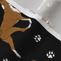 Trotting red Basenjis and paw prints - black