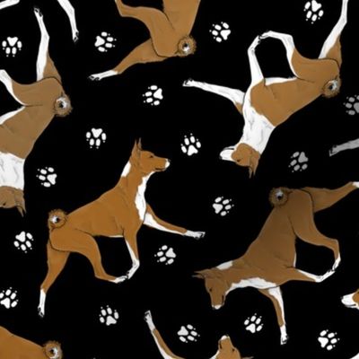 Trotting red Basenjis and paw prints - black