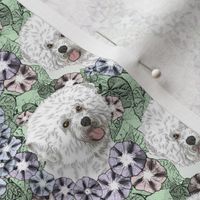 Small Floral Bichon Frise portraits