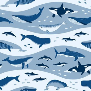 Whale Songs in Blue Waves (medium scale)