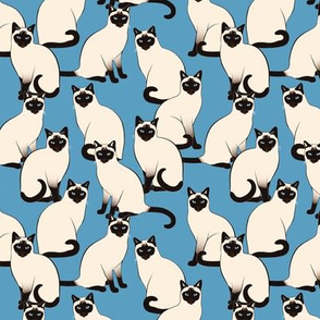 small Siamese Cats Crowd on Blue