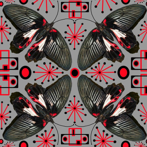 Moths Black Modern on Gray Animalier Design Challenge
