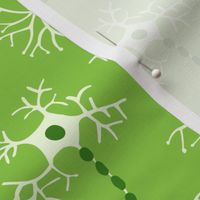 Neurons in Green