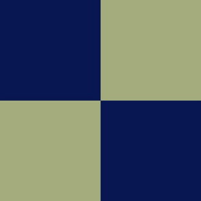 JP31 - Cheater Quilt -  Navy Blue and Pastel Olive  Checkerboard in Seven Inch Squares