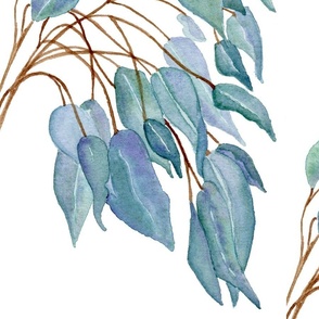 Watercolour Sage