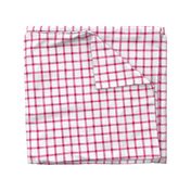 Valentine Plaid { vibrant - small }