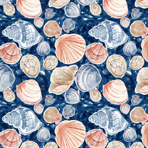 Small shells blue ocean