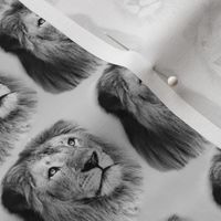 The Lion King of the Jungle Black and White Sketched