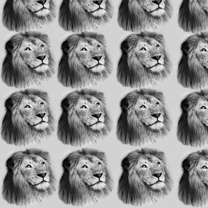 The Lion King of the Jungle Black and White Sketched
