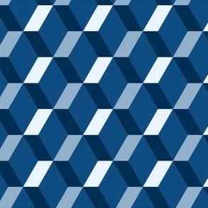 2020 Pantone Blue - Open Cube Classic Blue