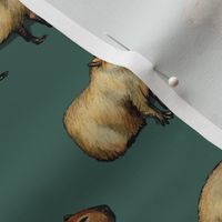 Cute Capybara Pattern - Giant Rodents