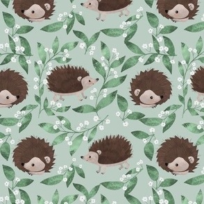 spring hedgehogs