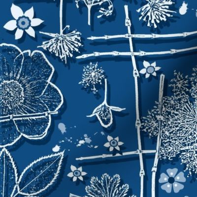 classic blue asian grasses