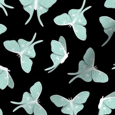 luna moth -  mint on black - LAD20