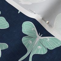 luna moth - aqua on blue - LAD20