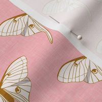 luna moth -  v1 gold on pink - LAD20