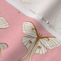 luna moth -   gold on pink - LAD20