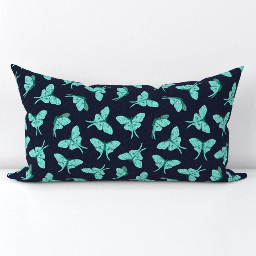 luna moth - teal on navy - LAD20