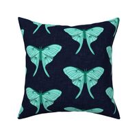 (jumbo scale) luna moth - teal on navy - v1 - LAD20