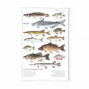 Freshwater Fish Banner, Wall Hanging or Tea Towel