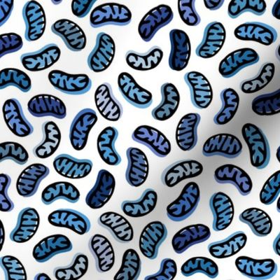 Mitochondria in Blue