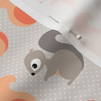 polkadot squirrels