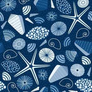 classic blue seashells
