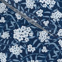 Forget-Me-Not_Classic Blue