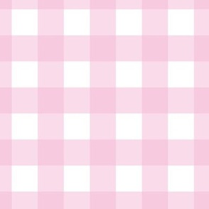 1"-Gingham -Little Girl Pink - New