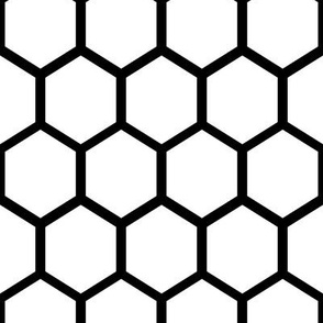 1" Honeycomb Hexagon Pattern Light | Black and White Collection