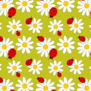 Ladybugs and daisies in spring .