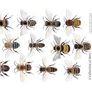 Native Bees Banner or Tea Towel