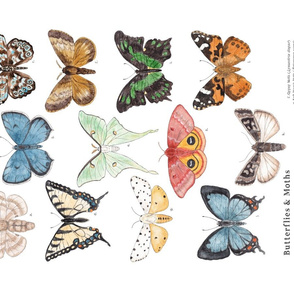 Butterflies & Moths Banner or Tea Towel