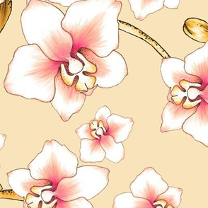 Orchids Large - Cream