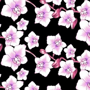 Orchids Small - Black