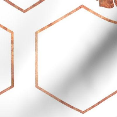 Rusted Copper Hexagons on White