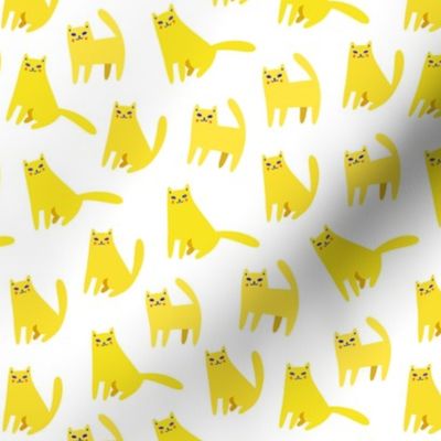 Cute yellow cats