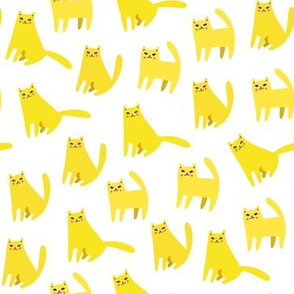 Cute yellow cats