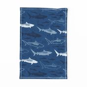 stealth tiger sharks (classic blue)