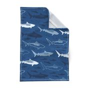 stealth tiger sharks (classic blue)