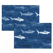 stealth tiger sharks (classic blue)